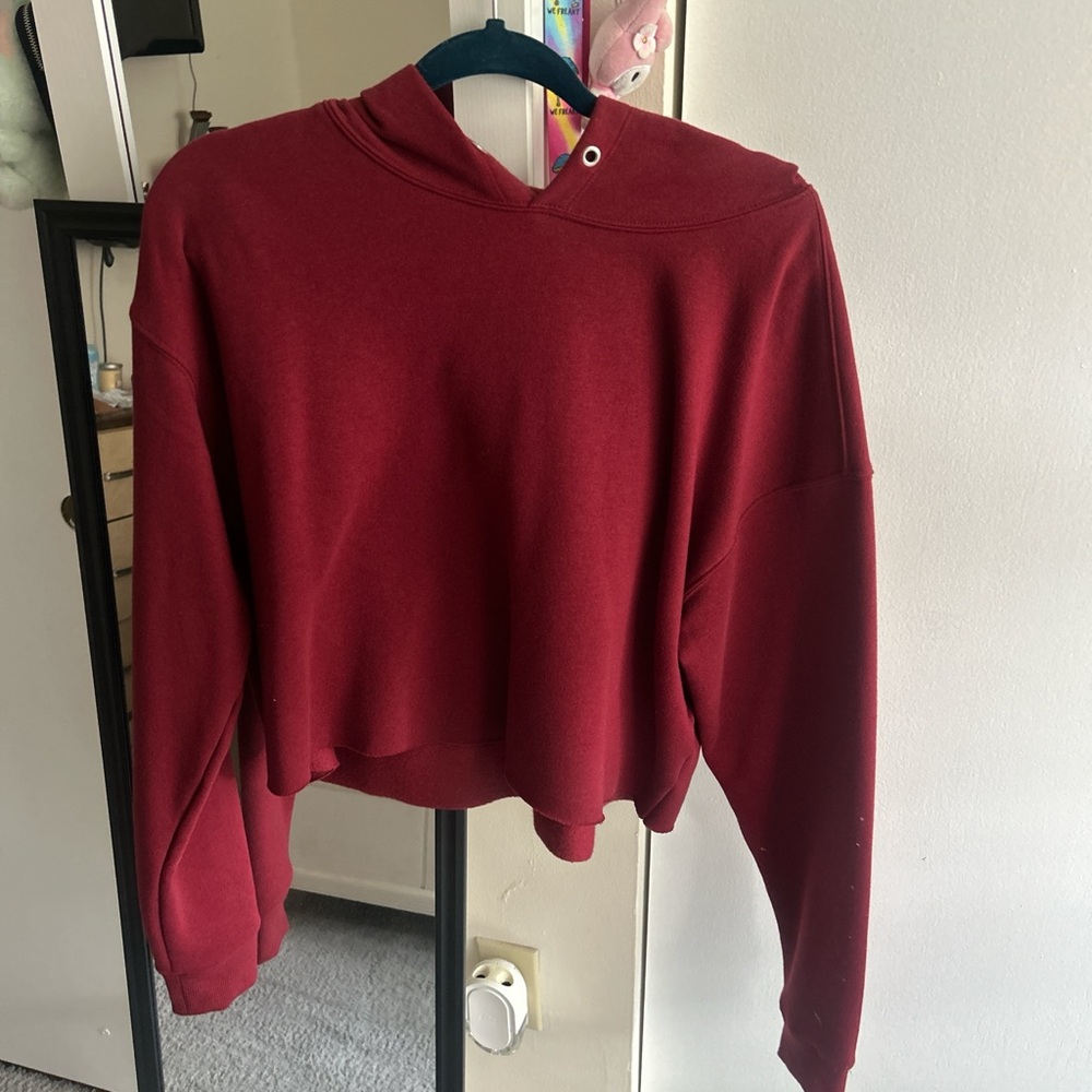 Red Wildfable Longsleeve Cropped Sweater Hoodie | Size L